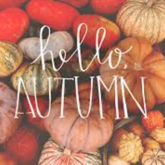 FEEL FREE TO‎ SEND OFFERS!!! - Picture 1 of 16